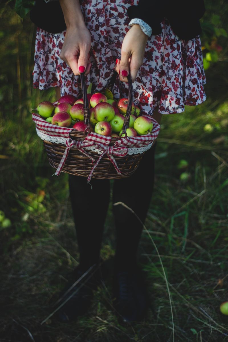 Fresh picked fruits