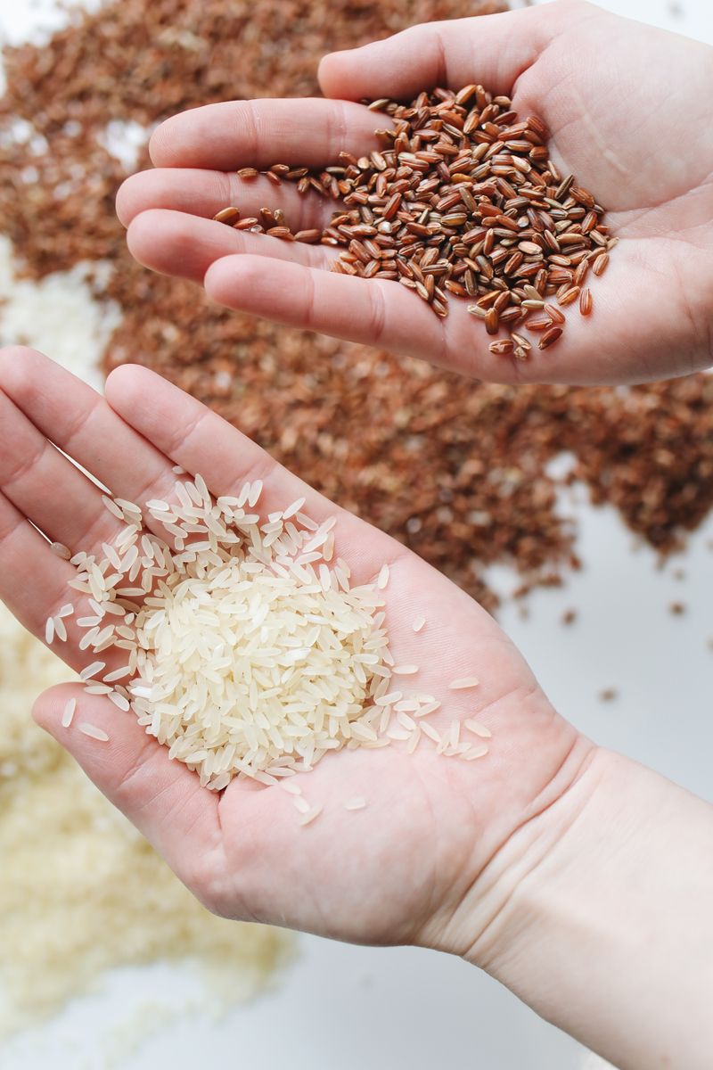 Healthy organic recipes