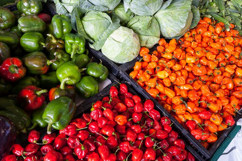 Fresh organic vegetables